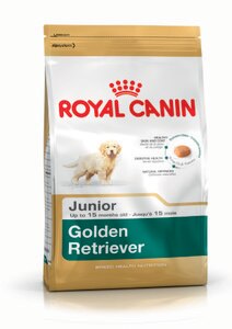 buy golden retriever puppy uk royal canin golden retriever 29 junior food 12kg buy royal canin at buy golden retriever puppy uk royal canin golden retriever 29 junior food 12kg buy royal canin at