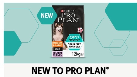 New to Pro Plan