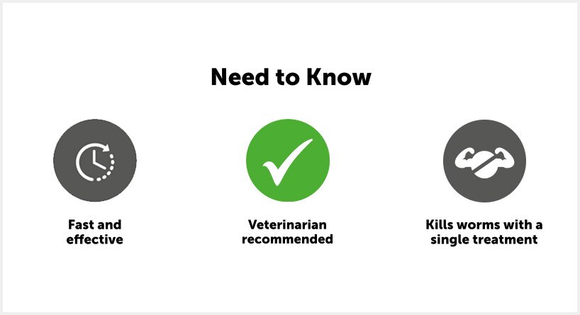 drontal dog tasty bone 6 pack