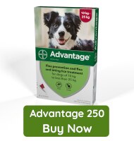 Advantage 250