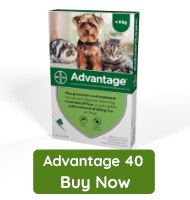 Advantage 40