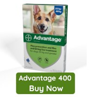 Advantage 400