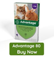 Advantage 80