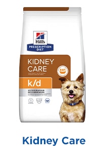 Hills Prescription Diet Dog Kidney Care