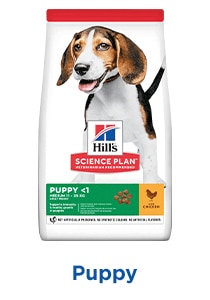 Hills Science Plan Puppy