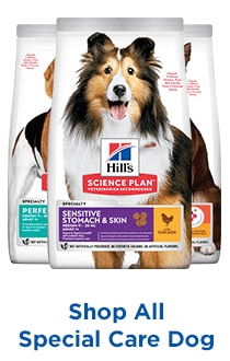 Hills Science Plan Special Care Dog