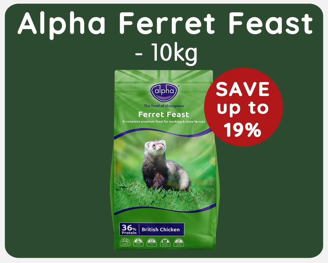vitalin ferret