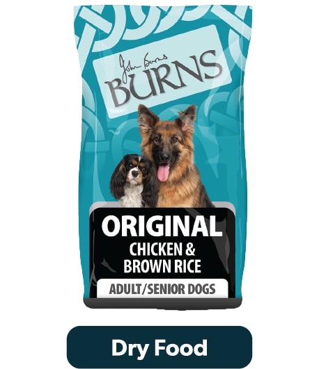 Burns Dry Dog Food