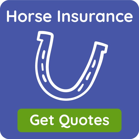 Horse Insurance