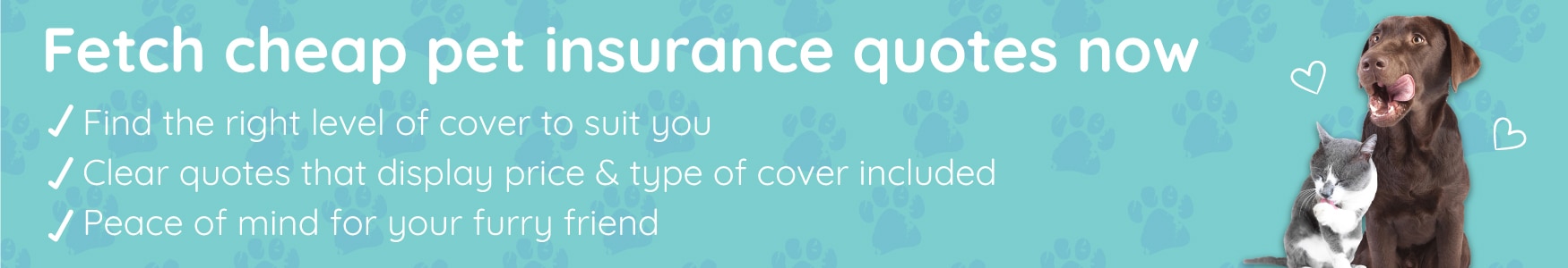 Pet Insurance