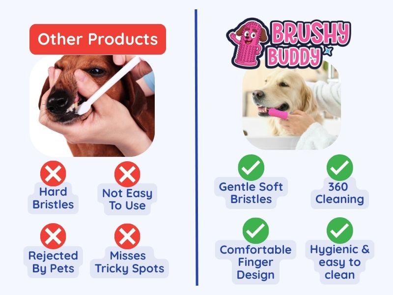 Why Choose the Brushy Buddy