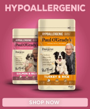 Paul O'Grady's Hypoallergenic