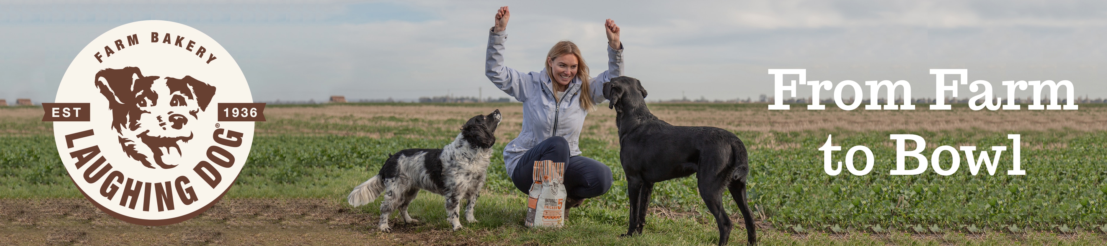 Laughing Dog Top Banner