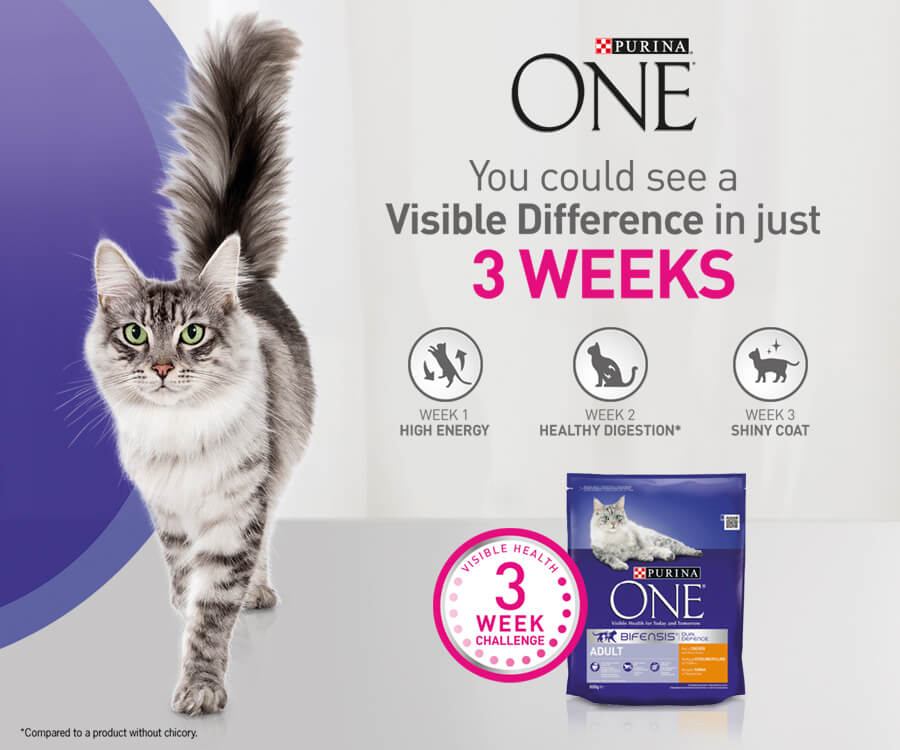 Purina ONE Header