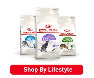 RoyalCanin Cat Lifestyle