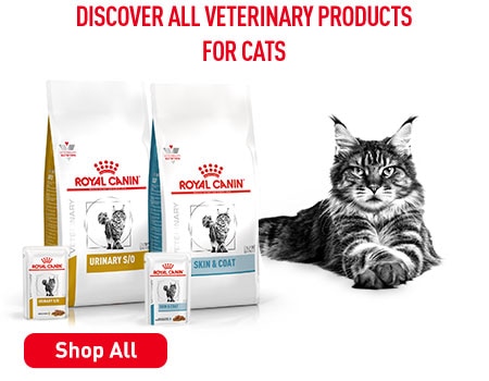 RoyalCanin VetDiet Cat