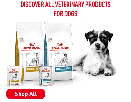 RoyalCanin VetDiet Dog