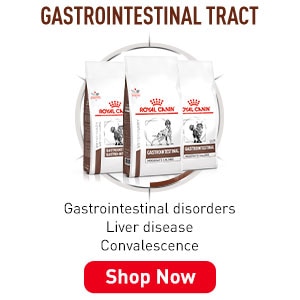 RoyalCanin VetDiet Gastrointestinal