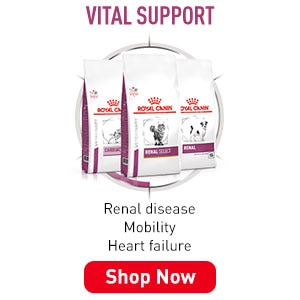 RoyalCanin VetDiet VitalSupport