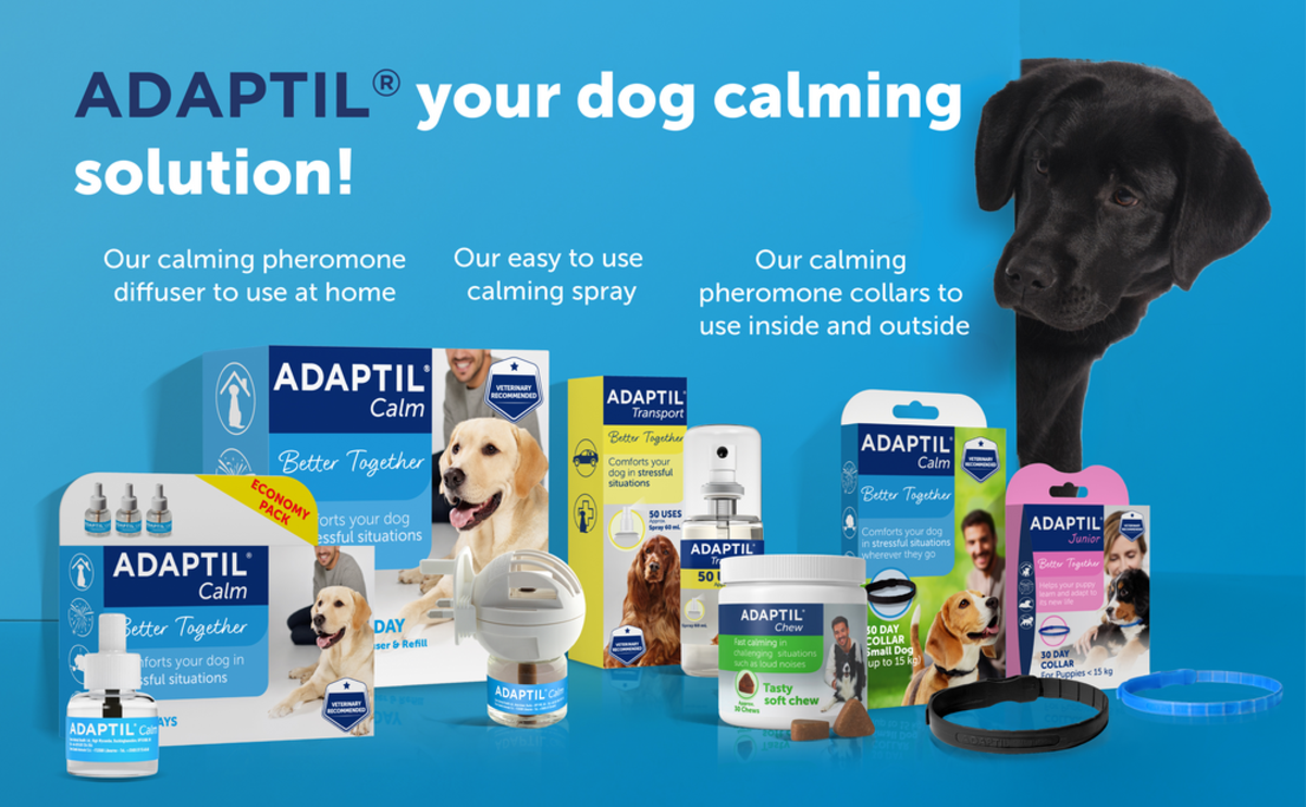 Adaptil Calming Diffuser ADAPTIL Calming Diffuser Refill 3P Next Day Delivery by 7pm