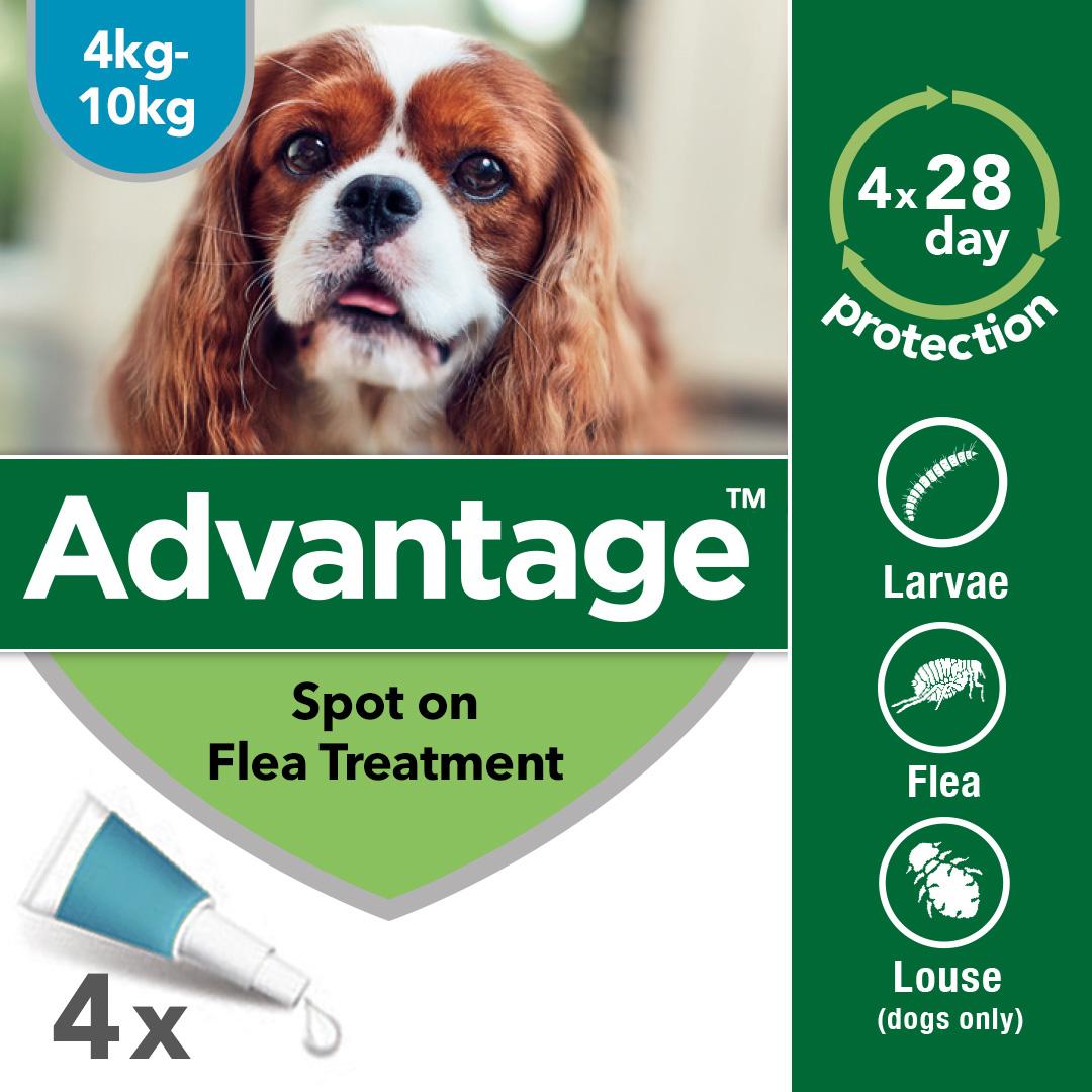 advantage medium dog