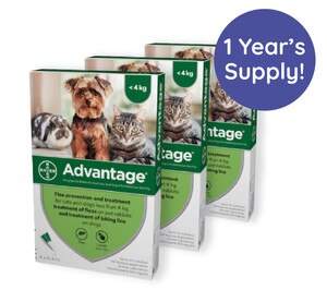 Advantage 40 Spot On Flea Control Small Dogs, Cats and Rabbits