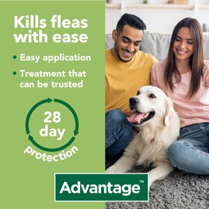 Advantage 400 Spot On Flea Control Extra Large Dog Cheap Prices