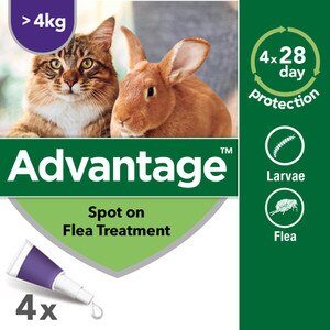 Advantage 80 Spot On Flea Control Large Cats And Rabbits Cheap Prices Petshop Co Uk