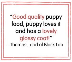 Autarky Puppy Junior Delicious Chicken Dog Food 12kg Free Delivery Cheap Prices Petshop Co Uk