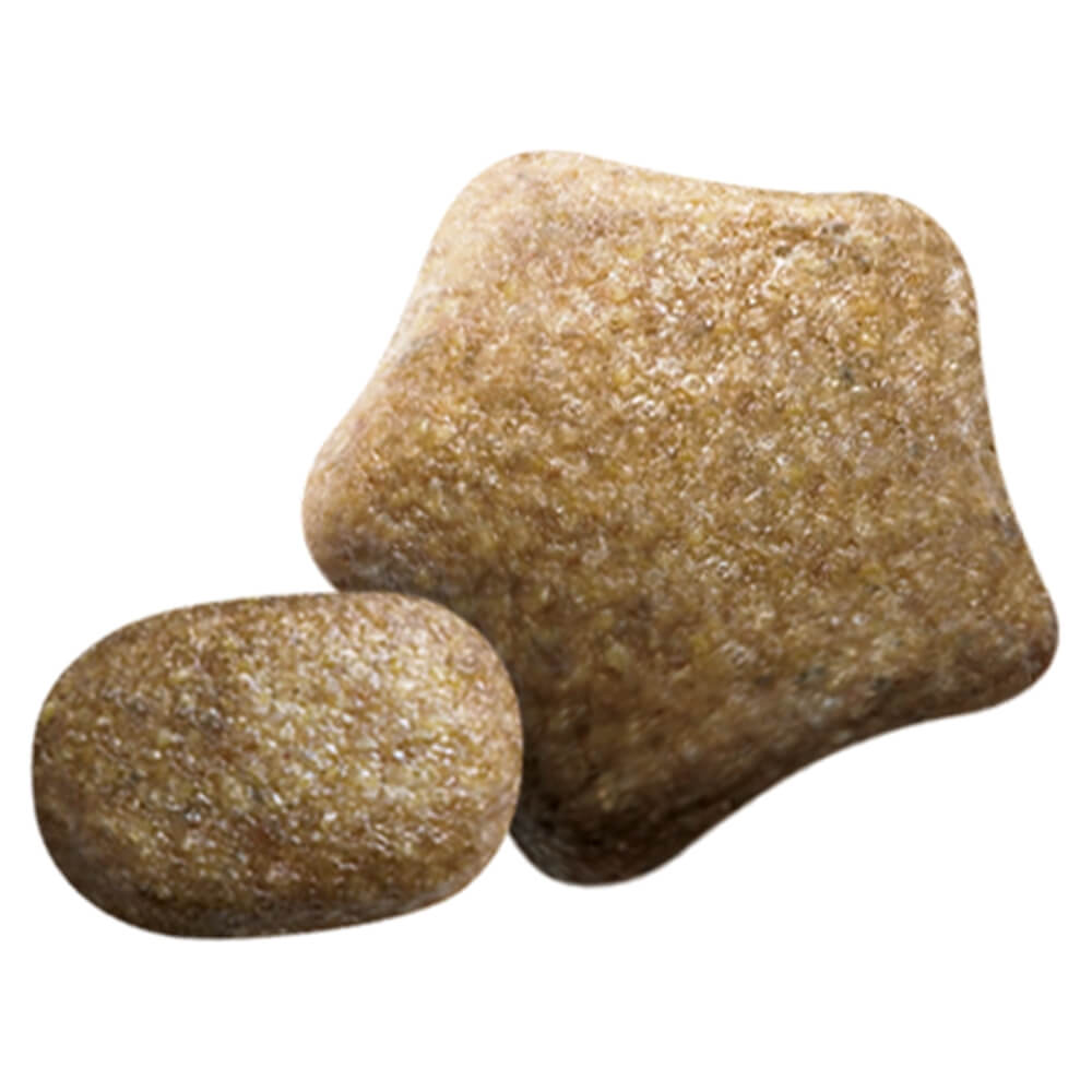 beta sensitive dog food 14kg