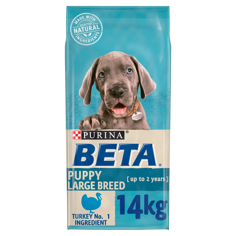 beta puppy large breed