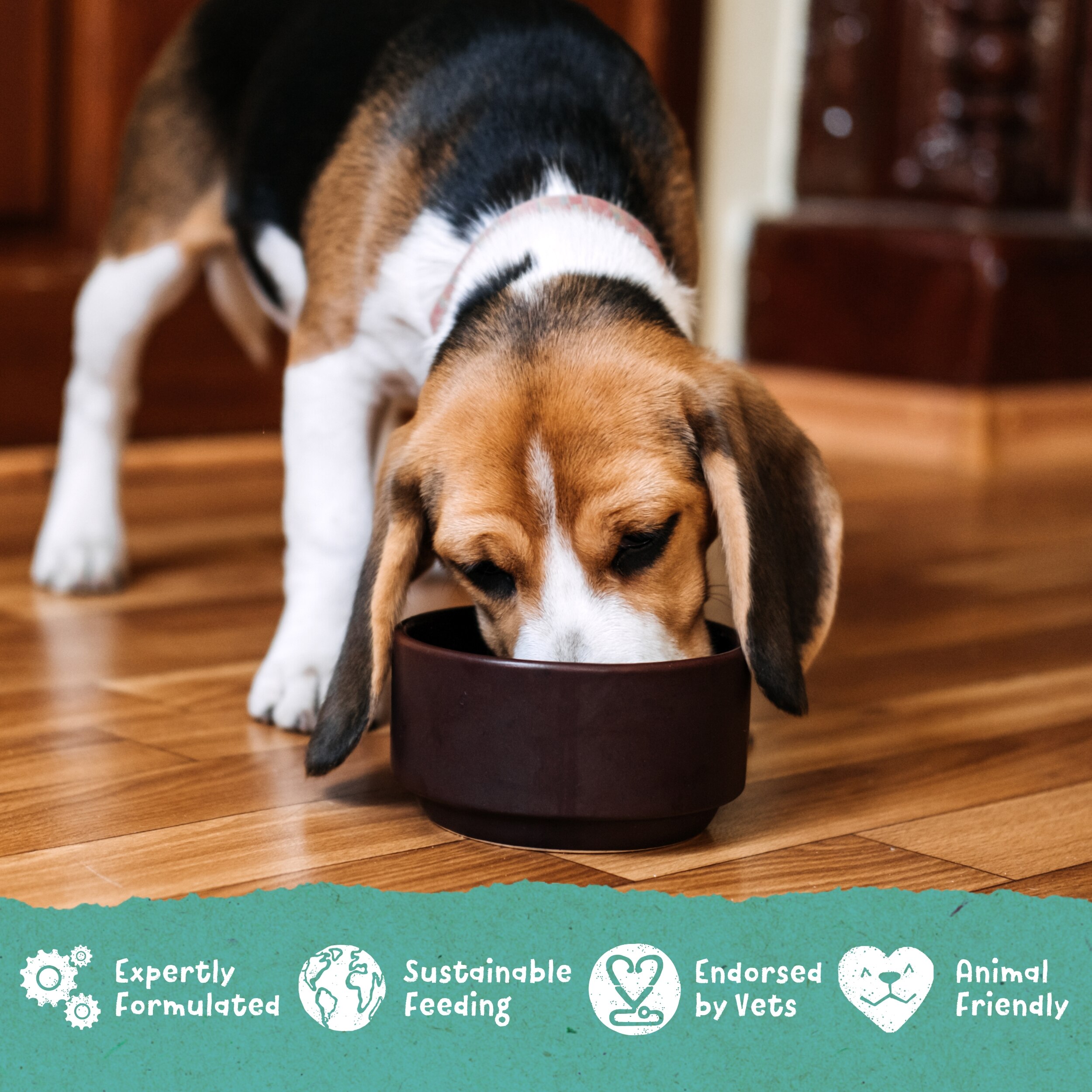 benevo pet food