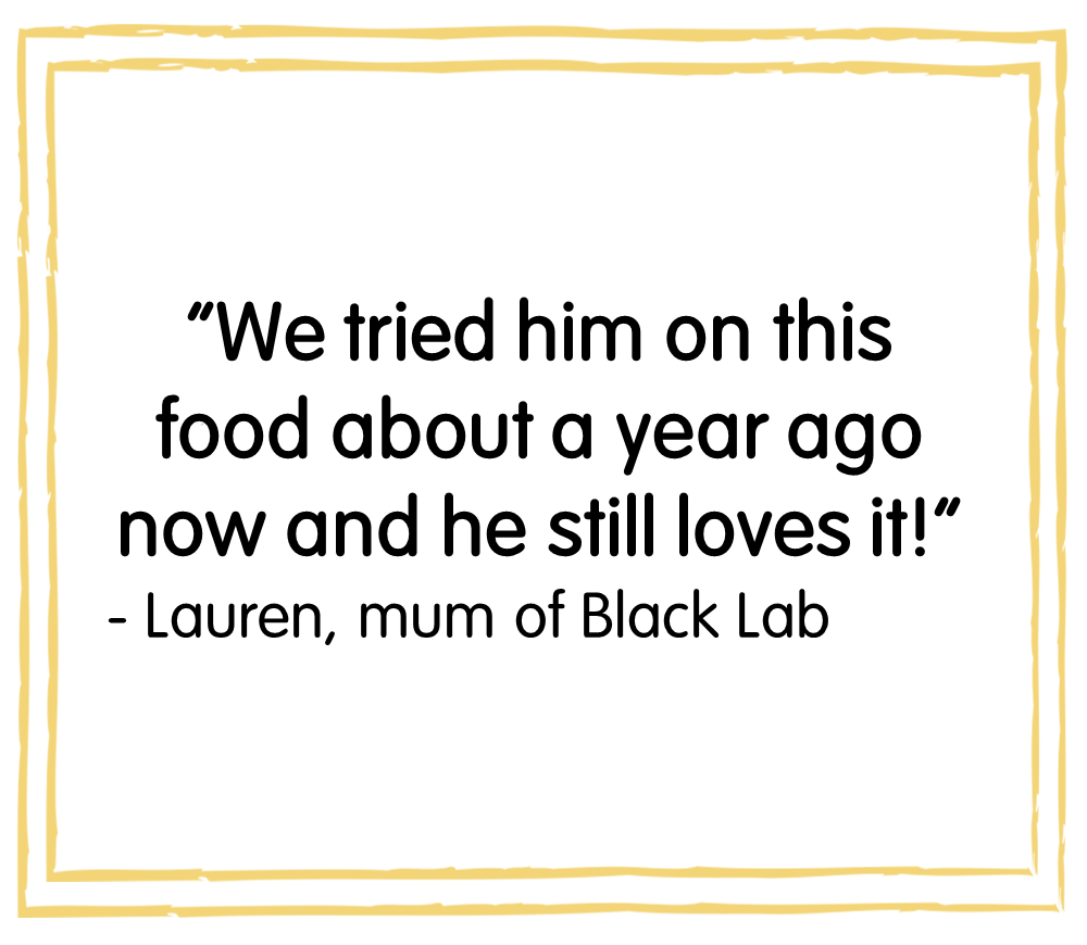 burgess sensitive turkey and rice