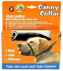 canny collar oder halti