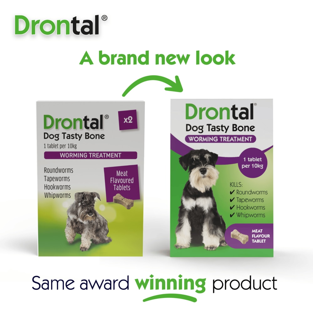 drontal medium dog