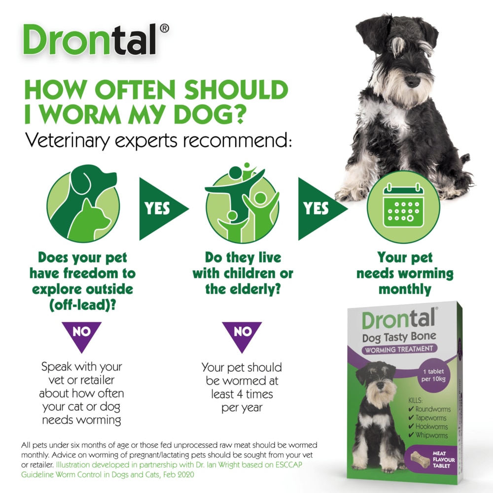 drontal worming tablets for large dogs