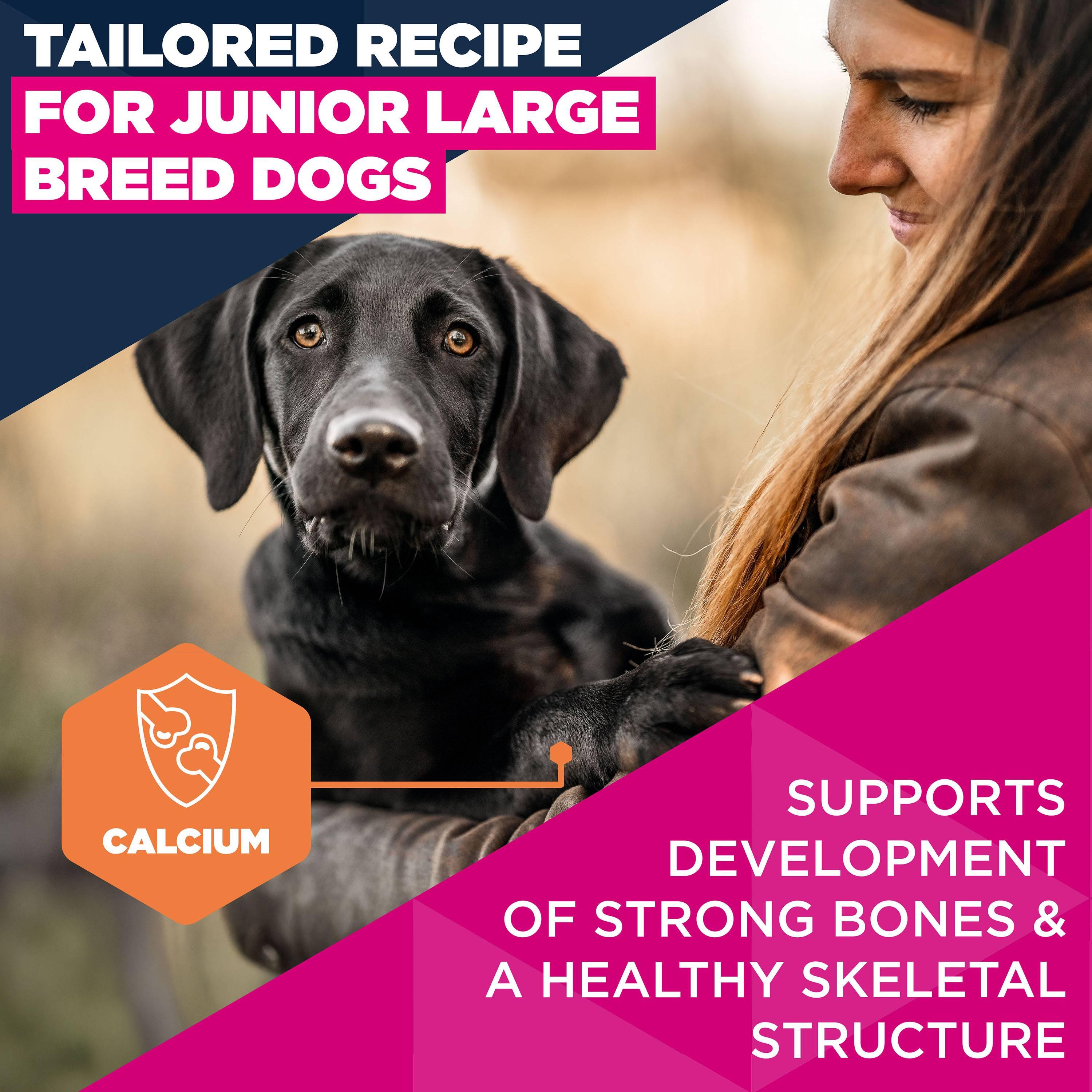 eukanuba developing junior