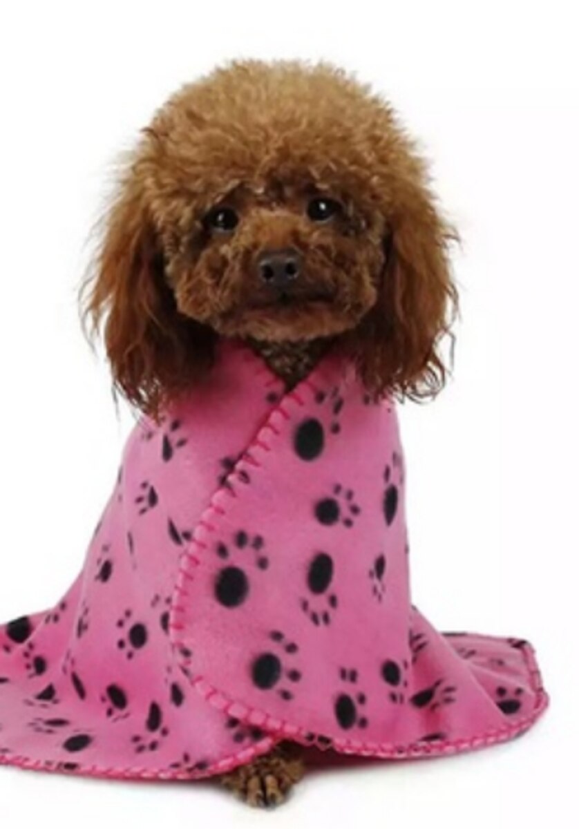 DUKE Fleece Paw Print Pet Blanket - 60cm x 100cm_4