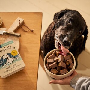 Forthglade Complete Senior Dog Whole Grain White Fish with Brown