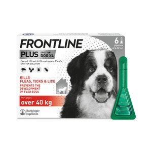Frontline Plus Flea Tick Treatment X Large Dog (40+ kg) pack