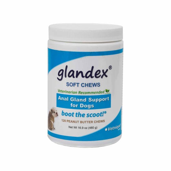 Glandex Anal Gland Support Peanut Butter Soft Chews for Dogs 120