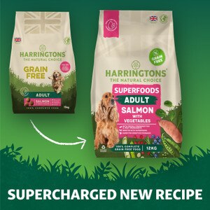 Harrington's Grain Free Superfoods Salmon Dry Dog Food 12kg