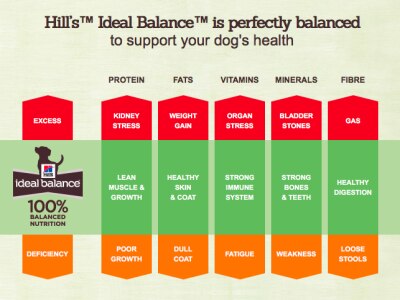 hill's ideal balance dog food 12kg
