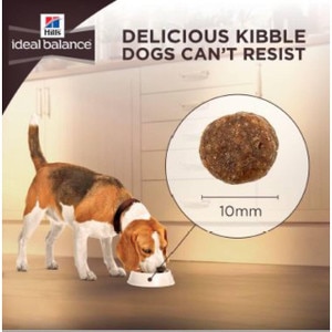 Ideal Balance Dog Food >> Hill S Ideal Balance Adult Large Breed No Grain Chicken Potato Dog Food 12kg Ideal Balance Dog Food >> Hill S Ideal Balance Adult Large Breed No Grain Chicken Potato Dog Food 12kg