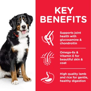 Hill S Science Plan Adult Large Breed Chicken Dry Dog Food 18kg