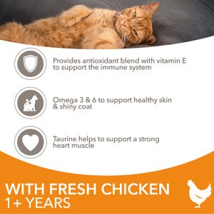 Iams Adult Chicken Cat Food 10kg. Free Delivery at PetShop ...