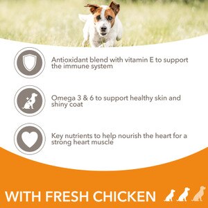 iams senior dog food morrisons