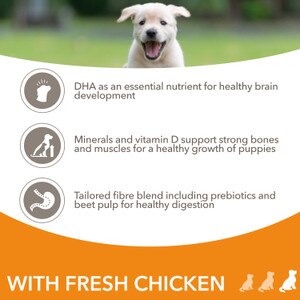 Iams for Vitality Large Breed Puppy With Fresh Chicken Dry Dog