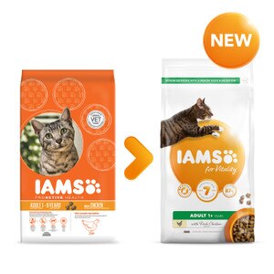 Iams Adult Dental Care Chicken Cat Food 10kg. Free ...