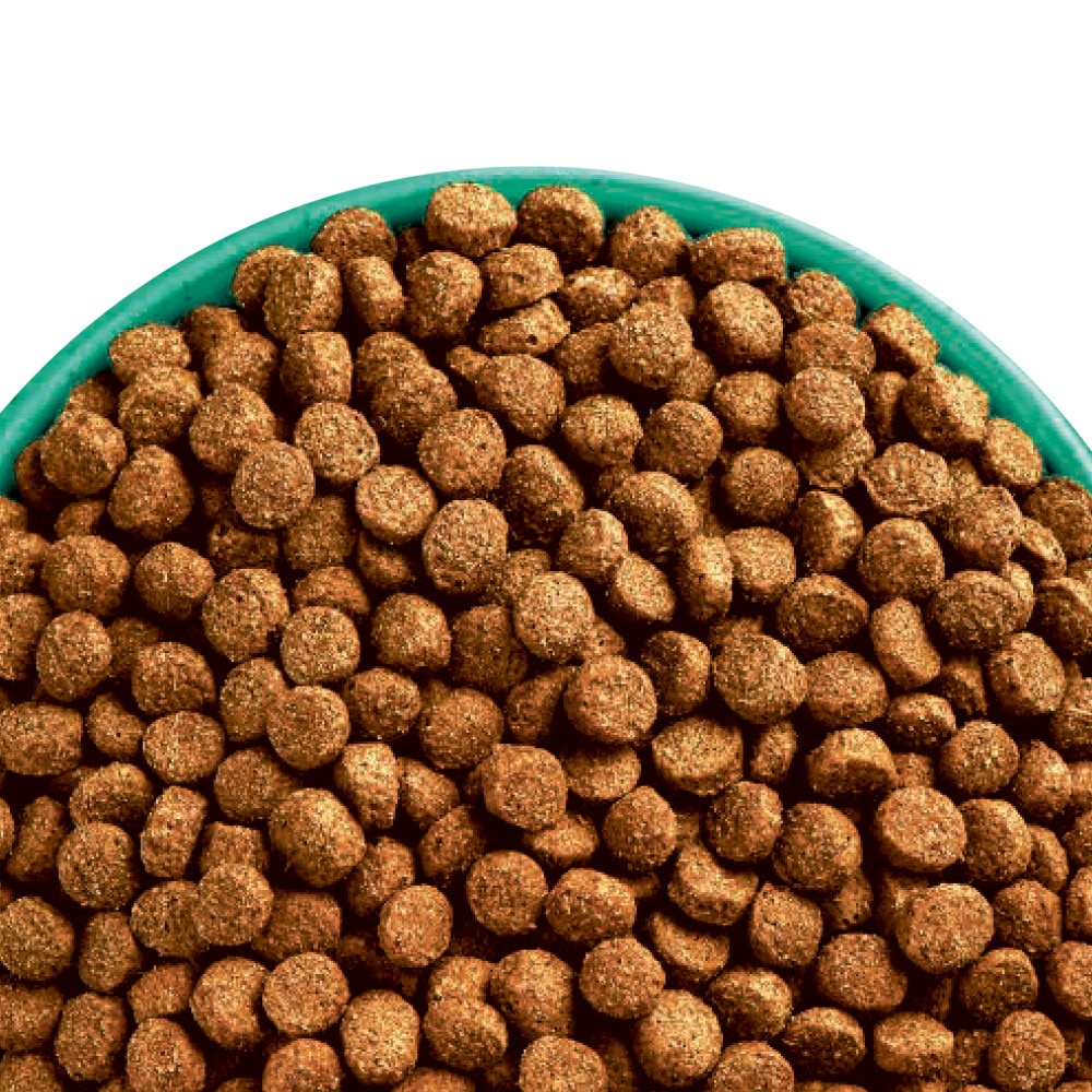 james wellbeloved puppy lamb and rice 15kg